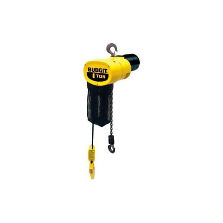 Cm CM® Budgit 1/4 Ton, Electric Chain Hoist W/ Chain Container, 10' Lift, 16 FPM, 115/230V BEHC2516
